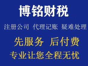 代理記賬與稅務(wù)咨詢 助力內(nèi)資小規(guī)模企業(yè)高效運(yùn)營