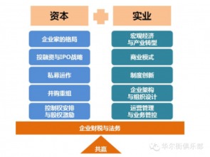 199IT企業(yè)軟件開發(fā)洞察 趨勢(shì)、挑戰(zhàn)與未來(lái)路徑